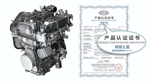 奕炫家族 赛道双雄 斩获2023cec首站双冠